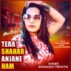 About Tera Shahar Anjane Ham Song